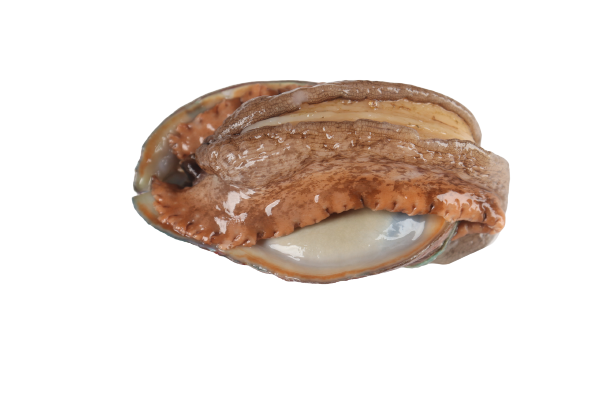 ����2-removebg-preview