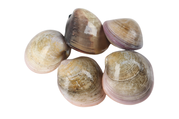 ���ĸ�3__2_-removebg-preview